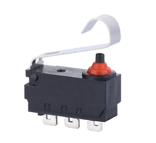Micro switch picture